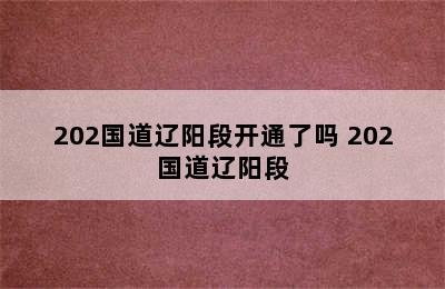 202国道辽阳段开通了吗 202国道辽阳段